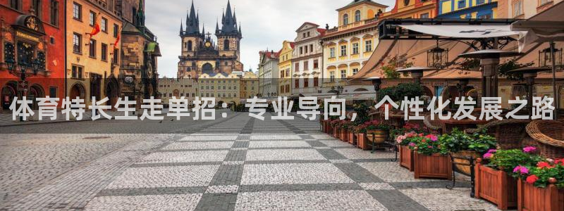 体育特长生走单招：专业导向，个性化发展之路