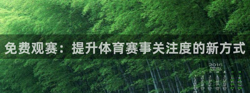 免费观赛：提升体育赛事关注度的新方式