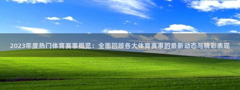2023年度热门体育赛事概览：全面回顾各大体育赛事的最新动态与精彩表现