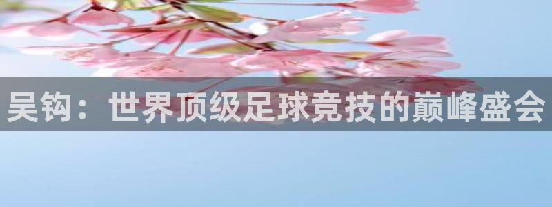 吴钩：世界顶级足球竞技的巅峰盛会