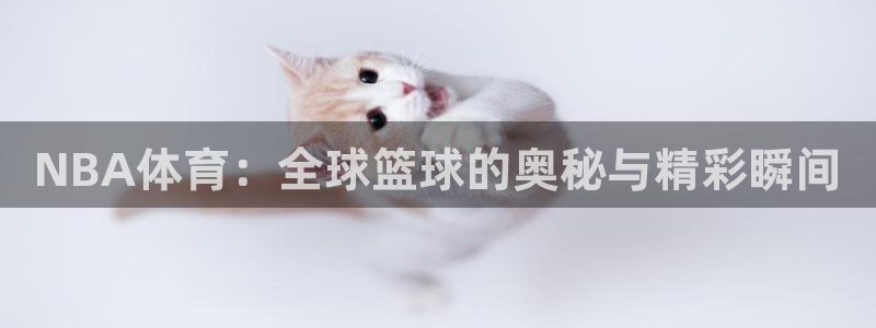 捷报足球最新比赛直播：NBA体育：全球篮球的奥秘与精彩瞬间