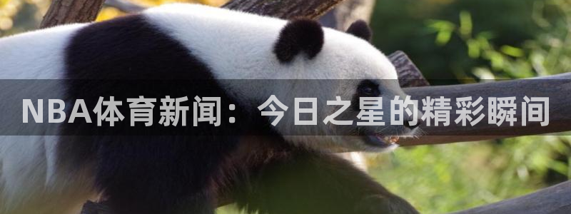 大赢家足球即时比分捷报