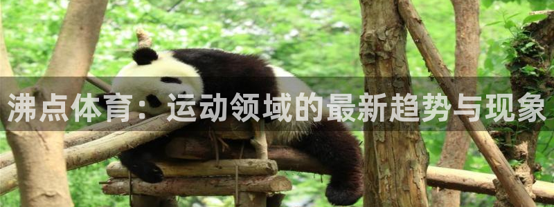 篮球比分网即时比分一一捷报比分nba排名
