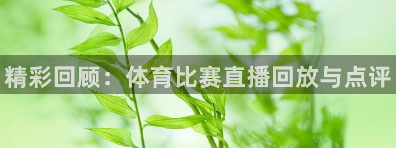 捷报足球资料库