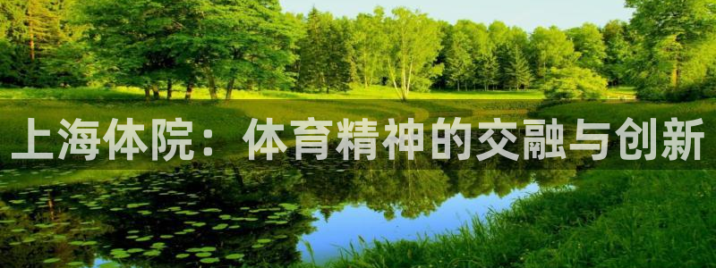 捷报比分手机版足球网