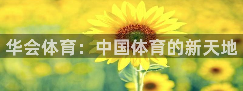 nba比分捷报网