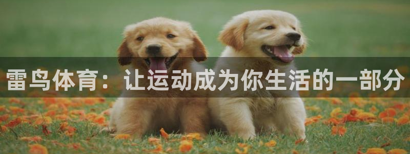 篮球比分网捷报比分：雷鸟体育：让运动成为你生活的一部分
